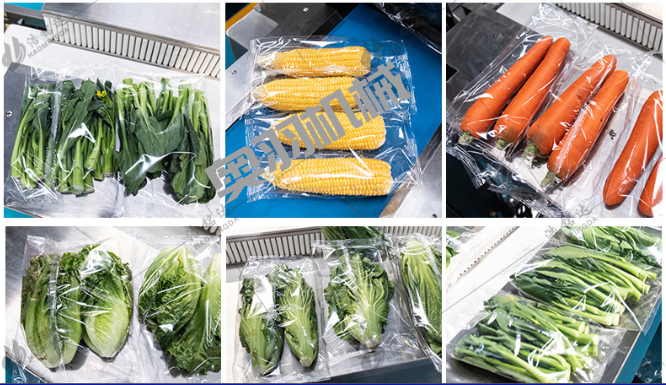 邢臺(tái)榮勝電子商務(wù)有限公司_工程案例_第2張_石家莊奧羽自動(dòng)化設(shè)備有限公司 邢臺(tái)榮勝電子商務(wù)有限公司_http://m.lntfjy.com_工程案例_第2張