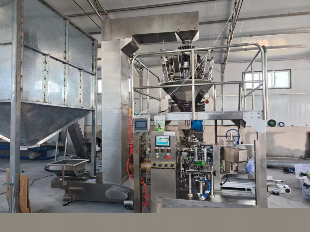 干果炒貨給袋式全自動(dòng)包裝機(jī)選型介紹