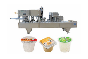 石家莊八寶粥灌裝封杯機(jī)