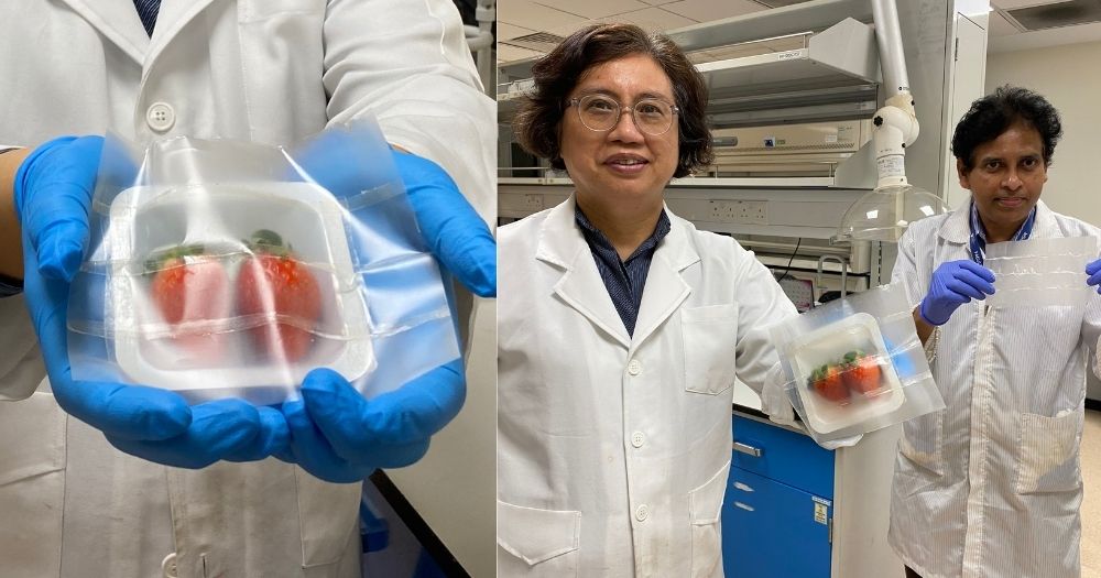 可生物降解的柔性食品包裝_http://m.lntfjy.com_新聞資訊_第1張