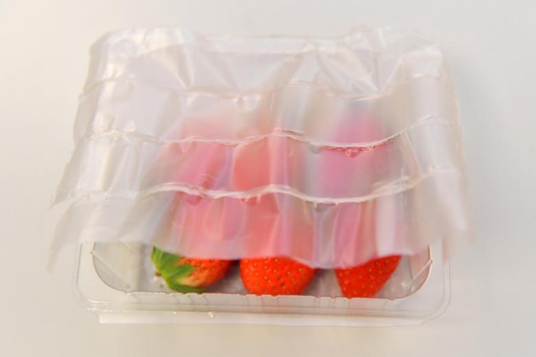 可生物降解的柔性食品包裝_http://m.lntfjy.com_新聞資訊_第2張