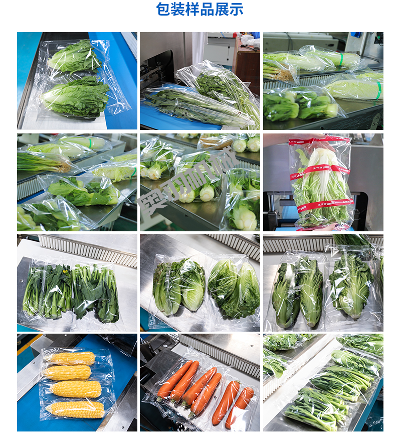 速凍蔬菜前景可期 速凍工藝打造品質(zhì)高地_新聞資訊_第2張_石家莊奧羽自動(dòng)化設(shè)備有限公司 速凍蔬菜前景可期 速凍工藝打造品質(zhì)高地_http://m.lntfjy.com_新聞資訊_第2張